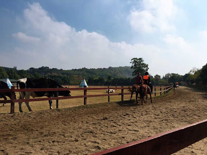 ��ҳ| ���������й��ٷ���վ